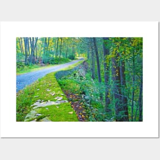 Road Through Autumn Woods Posters and Art